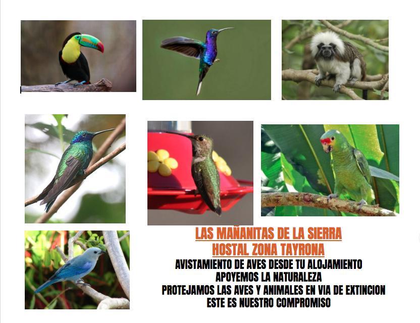 Las Mananitas De La Sierra Zaino Kültér fotó